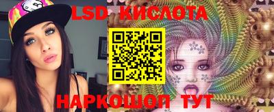 метадон Гай