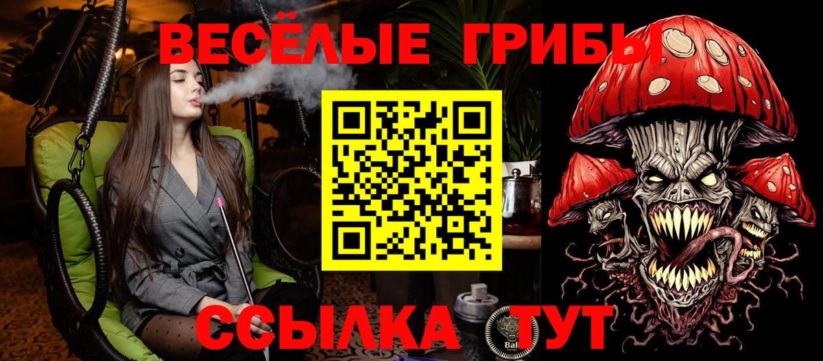 Ковров  Галлюциногенные грибы прущие грибы  Галлюциногенные грибы GOLDEN TEACHER  Вход с VPN 
